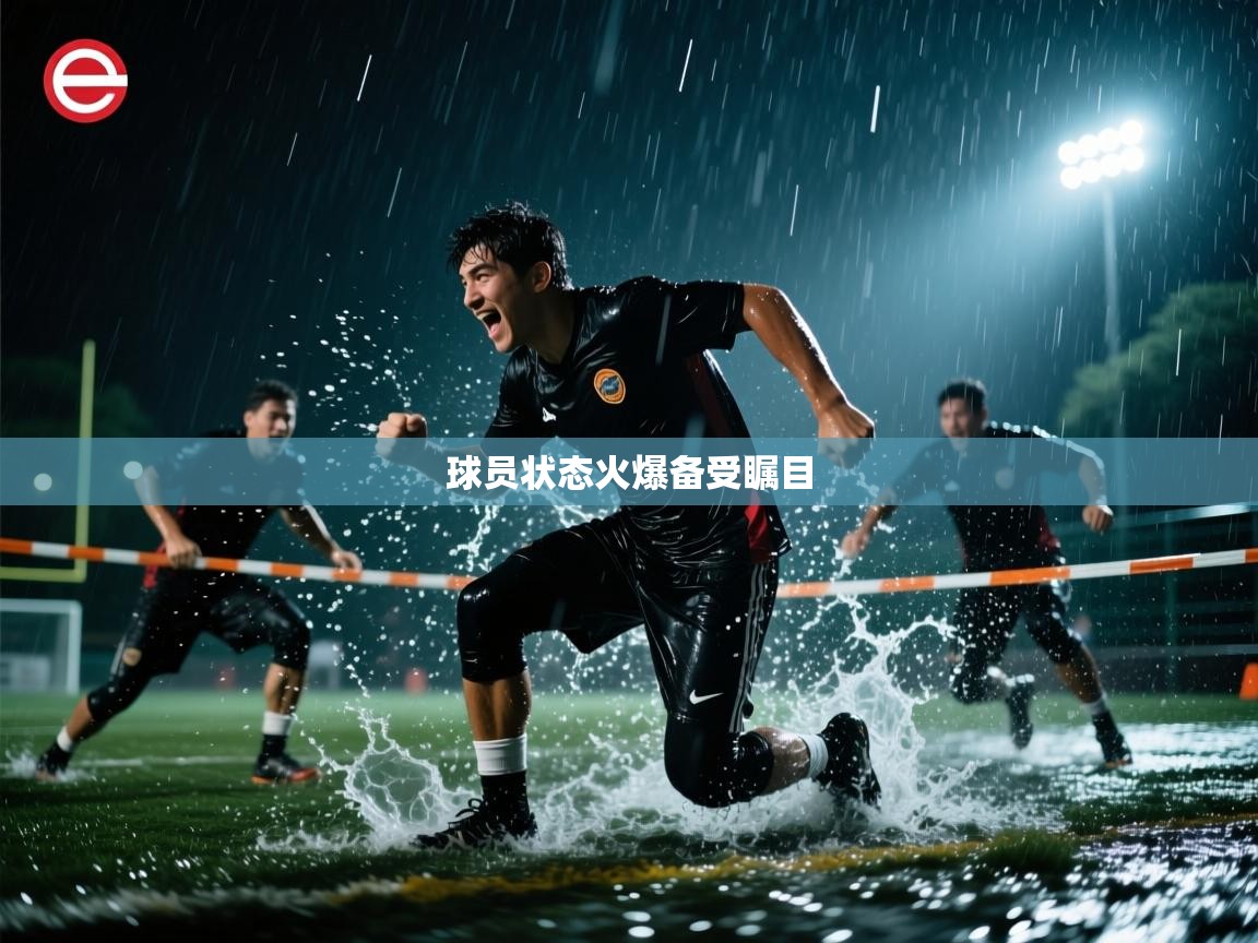 球员状态火爆备受瞩目 第2张