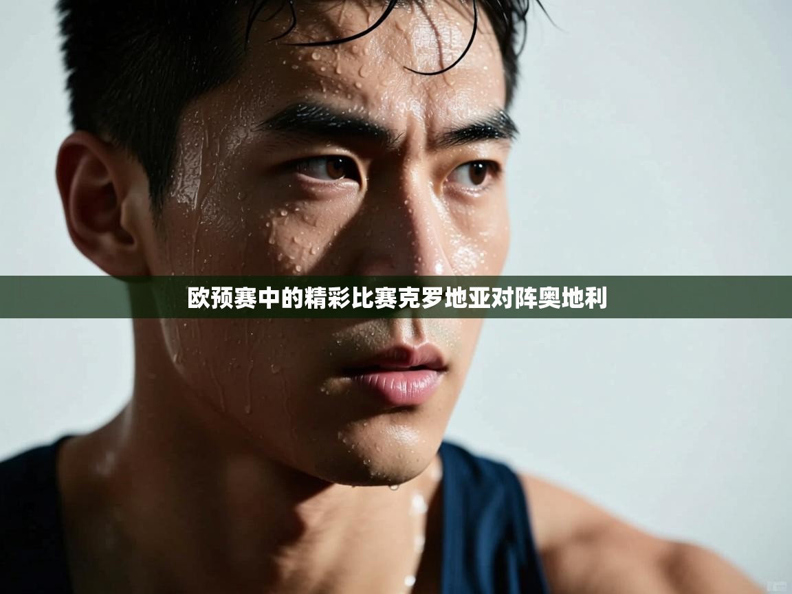 欧预赛中的精彩比赛克罗地亚对阵奥地利  第2张