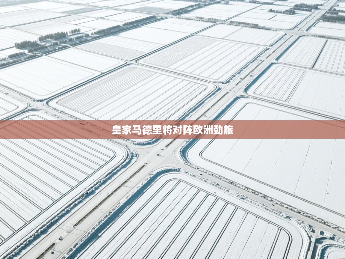 皇家马德里将对阵欧洲劲旅 第1张