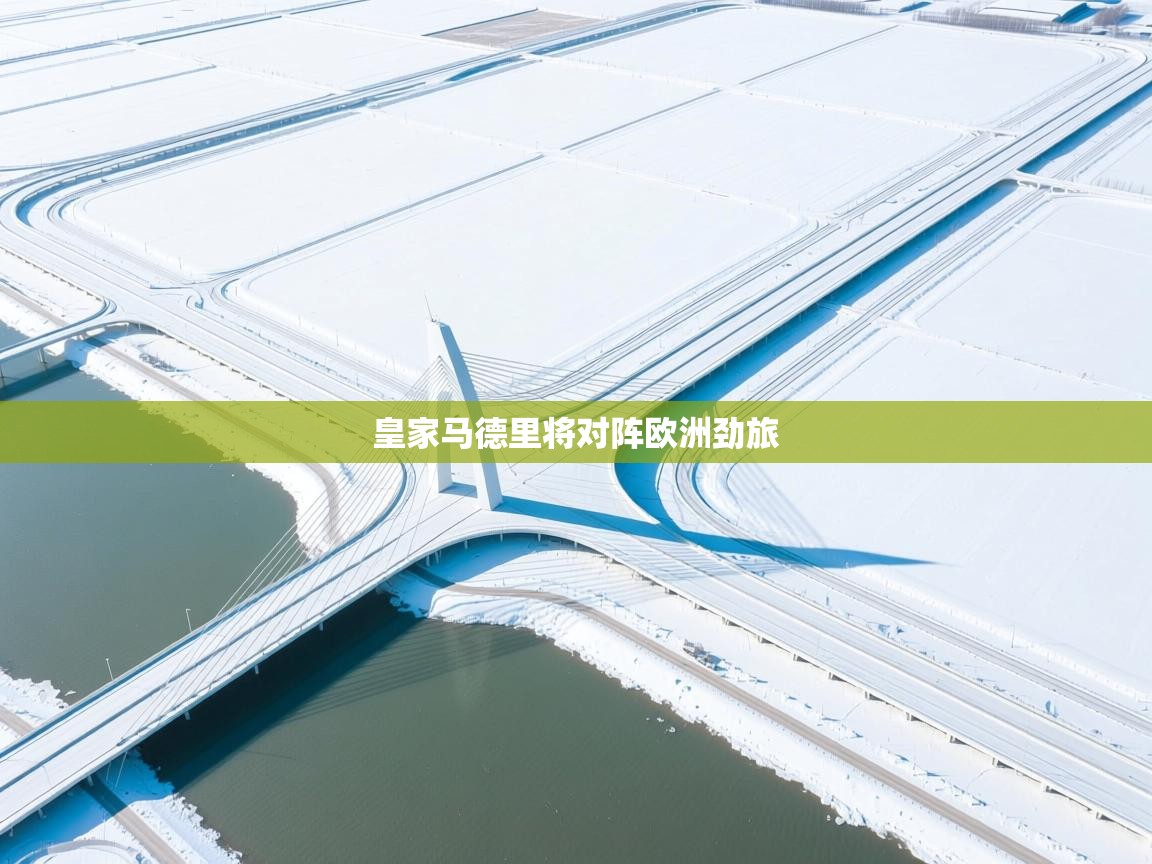 皇家马德里将对阵欧洲劲旅 第2张