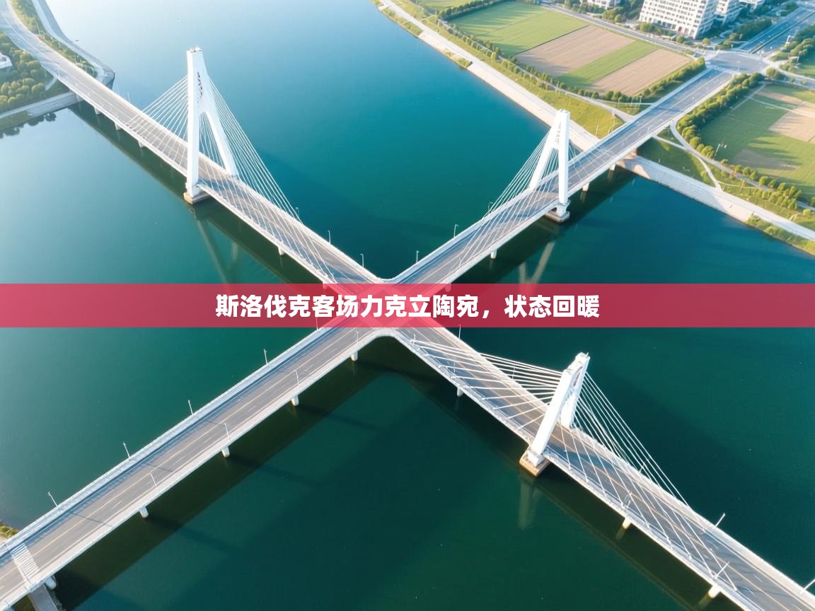 斯洛伐克客场力克立陶宛,状态回暖 第1张