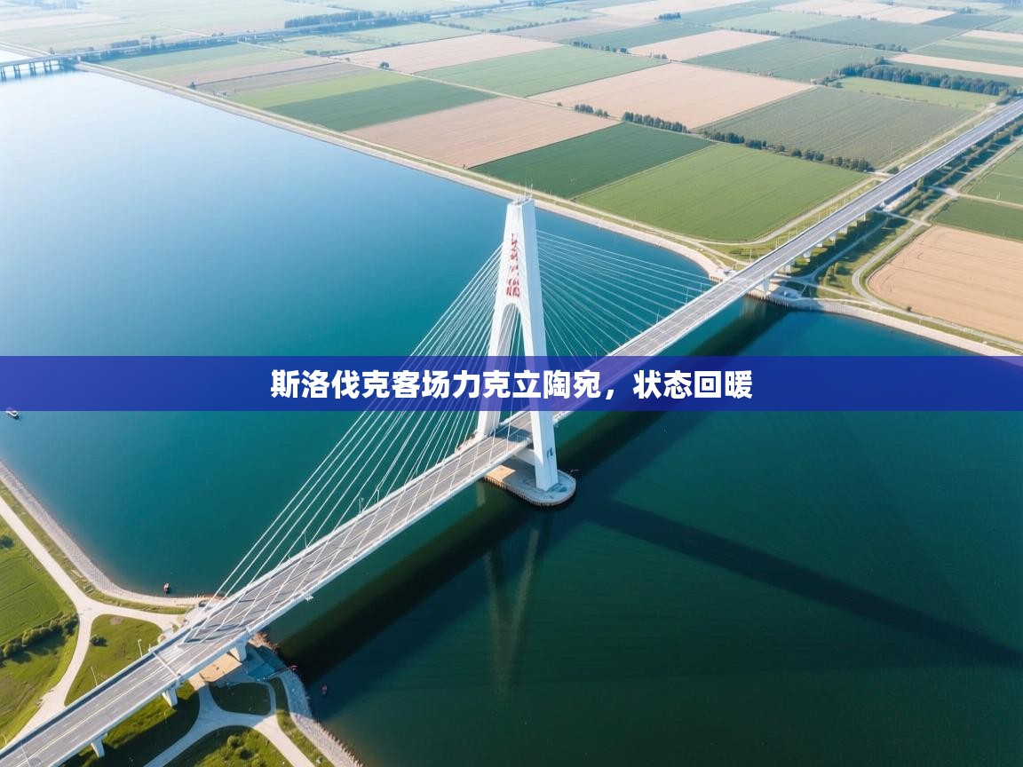 斯洛伐克客场力克立陶宛,状态回暖 第2张