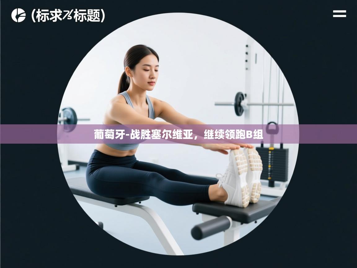 葡萄牙-战胜塞尔维亚,继续领跑B组 第1张