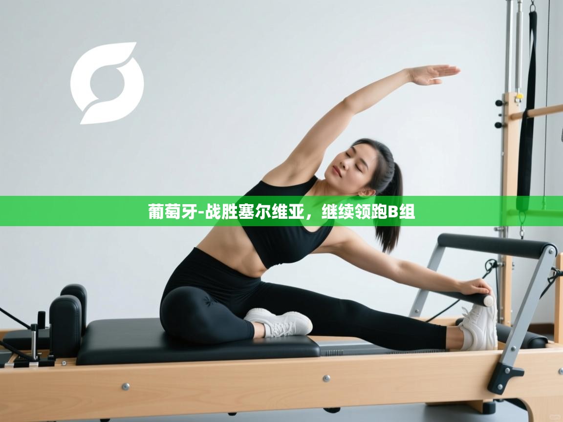 葡萄牙-战胜塞尔维亚,继续领跑B组 第2张