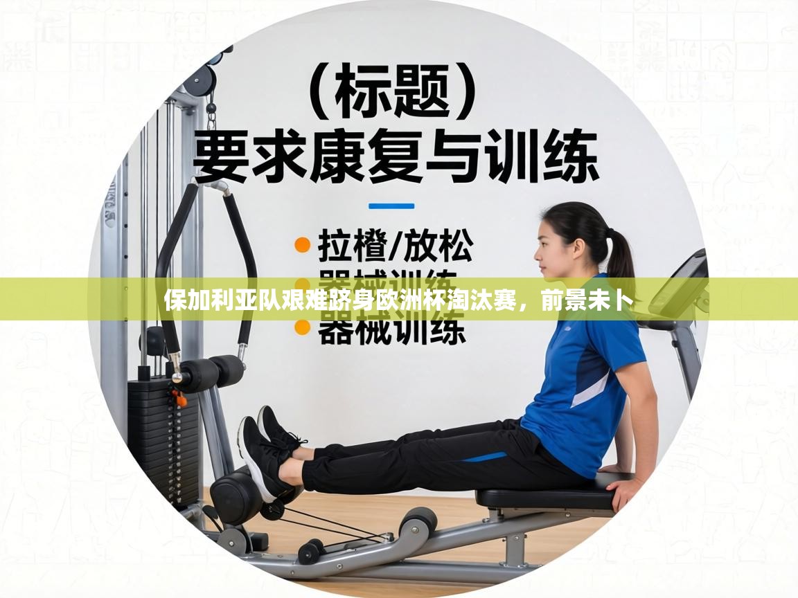 保加利亚队艰难跻身欧洲杯淘汰赛，前景未卜  第1张