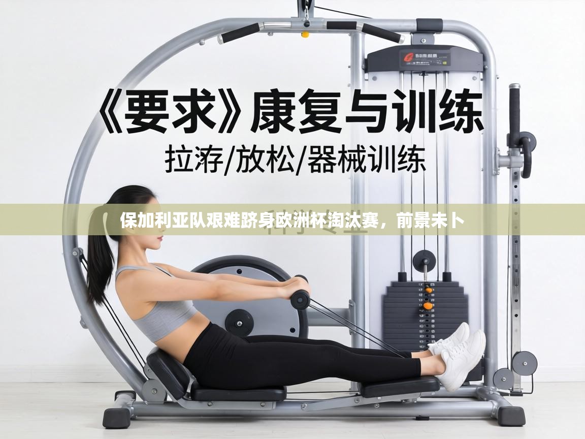 保加利亚队艰难跻身欧洲杯淘汰赛，前景未卜  第2张